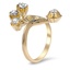 The Justa Ring, smallside view