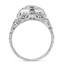 The Georgeta Ring, smallside view