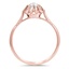 The Lottie Ring, smallside view