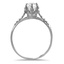 The Castlegrove Ring, smallside view