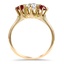 The Sacramento Ring, smallside view