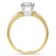 The Jennine Ring, smallside view