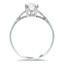 The Malibu Ring, smallside view