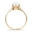 The Braesyde Ring, smallside view