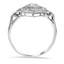 The Elvia Ring, smallside view