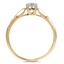 The Kings Ring, smallside view