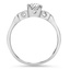 The Fullarton Ring, smallside view