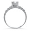 The Arla Ring, smallside view