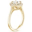 18K Yellow Gold Dahlia Halo Diamond Ring (1/3 ct. tw.), smallside view