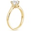 18K Yellow Gold Catalina Solitaire Ring, smallside view