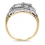 The Dalla Ring, smallside view