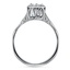 The Adorlee Ring, smallside view