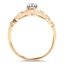 The Veneta Ring, smallside view