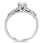 The Savea Ring, smallside view