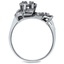 The Auracaria Ring, smallside view