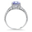 The Bellerose Ring, smallside view