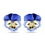 The Kanai Earrings