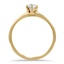 The Cathleen Ring, smallside view