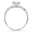 The Clemens Ring, smallside view
