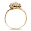 The Del Norte Ring, smallside view