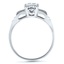 The Meryl Ring, smallside view