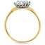 The Lexy Ring, smallside view