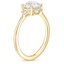 18K Yellow Gold Colleen Hidden Halo Diamond Ring, smallside view