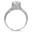 The Elda Ring, smallside view
