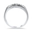 The Mosley Ring, smallside view