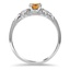 The Marsiella Ring, smallside view