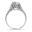 The Miles Ring, smallside view