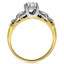 The Cheryl Ring, smallside view