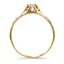 The Thomas Ring, smallside view