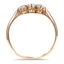 The Zayante Ring, smallside view