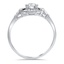 The Lyon Ring, smallside view