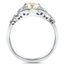 The Atwood Ring, smallside view