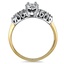 The Lentia Ring, smallside view