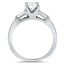 The Duff Ring, smallside view