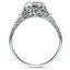The Nandita Ring, smallside view