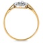 The Petunia Ring, smallside view