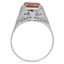 The Kauai Ring, smallside view