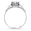 The Fermina Ring, smallside view