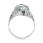 The Renatta Ring, smallside view