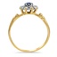 The Portrero Ring, smallside view