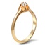 The Gesine Ring, smallside view