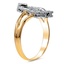 The Moira Ring, smallside view