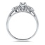 The Poinsettia Ring, smallside view