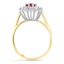 The Rainence Ring, smallside view
