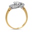 The Nikko Ring, smallside view