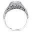 The Elam Ring, smallside view